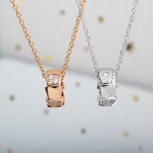 BV snake bone diamond necklace