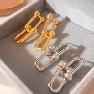 Tong Yao's Tiffany HardWear Diamond Free Earrings